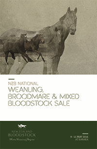NZB Weanling, Broodmare and Mixed Bloodstock Sale Catalogue Out Now
